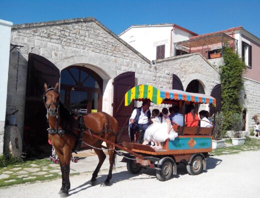 Agriturismo B&B Casale Torre San Magno