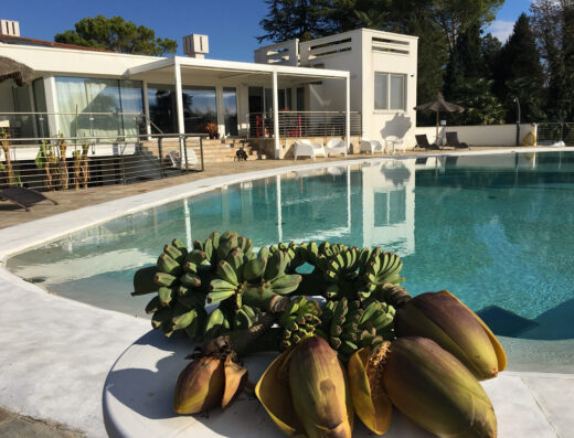 Agriturismo B&B “Loggia degli Artisti”