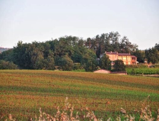 Agriturismo Bosco dei Poveri: vista panoramica della struttura immersa nel verde della campagna italiana, ideale per un soggiorno rilassante e a contatto con la natura.