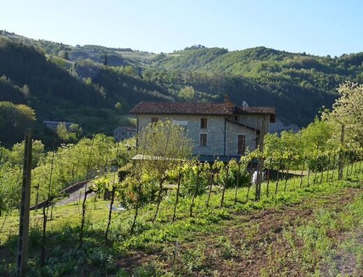 Agriturismo Campo Rosso