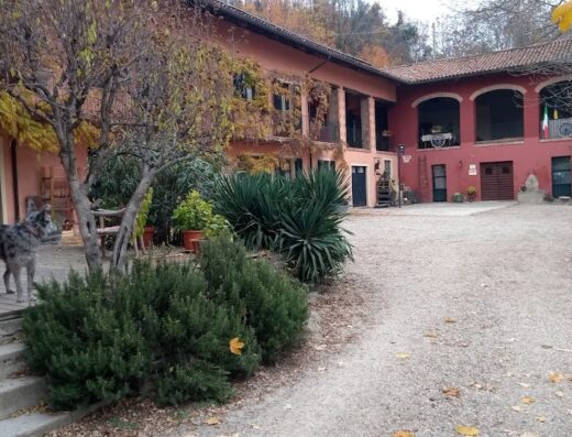 Agriturismo Cascina Sant'Eufemia di Andreis C., Italia: Vista esterna della cascina con un cane sul portico e vegetazione circostante. La struttura offre un'esperienza di viaggio immersiva nella natura.