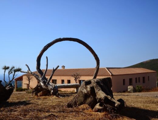 Agriturismo Costa Verde