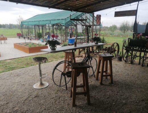 Agriturismo Dal Moro outdoor seating area featuring a bicycle-themed table, stools, vintage wagon and greenhouse in the background.