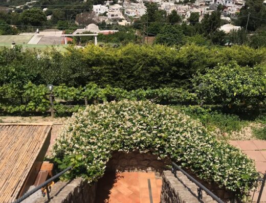 Agriturismo del Sole