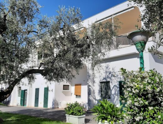 Agriturismo Giorgio: Esterno della struttura con ulivo secolare, facciata bianca, balcone e lampione vintage in un giardino curato