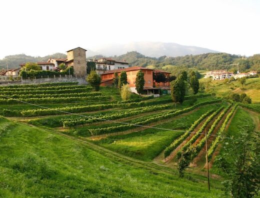 Agriturismo Il Belvedere