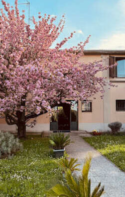 AGRITURISMO IL BORGHETTO