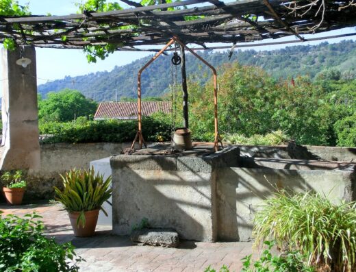 Antico pozzo in pietra con carrucola all'Agriturismo Il Limoneto, circondato da vegetazione lussureggiante e pergolato ombreggiato.