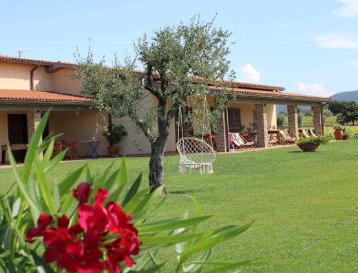Agriturismo Il Vecchio Mandorlo a Castiglione della Pescaia: vista esterna della struttura con prato verde, albero con altalena sospesa e veranda con sedie a sdraio. Ideale per un soggiorno rilassante.