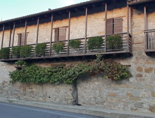 Agriturismo La Casa Degli Ospiti