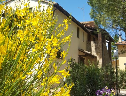 Agriturismo La Ginestrella