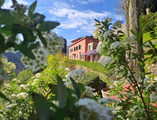 Agriturismo La Torre: Vista pittoresca della casa colonica toscana immersa nel verde, con fiori bianchi in primo piano e cielo azzurro.