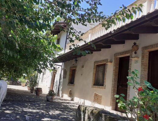 Agriturismo La Vaccareccia: Un cane bianco si gode la tranquillità di fronte alla struttura, immersa nel verde.