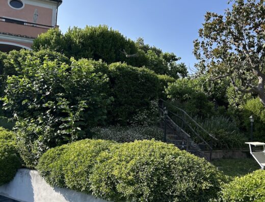 Agriturismo La Vecchia Quercia: Vista sulla piscina e sul giardino lussureggiante, ideale per relax e sosta camper in Toscana.