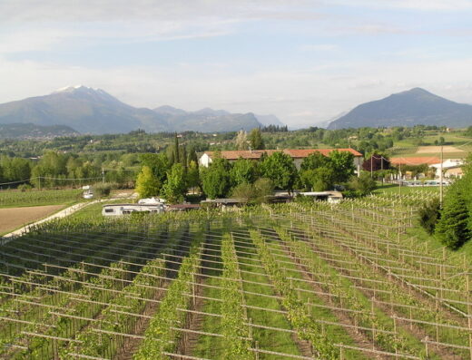 Paesaggio panoramico dell'Agriturismo Le Caldane con vigneti in primo piano, case rurali, camper e montagne sullo sfondo.