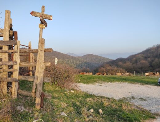 Agriturismo Mandela Pian di Papa: Paesaggio rurale con recinto in legno, cartello segnaletico, mucche al pascolo e vista sulle colline circostanti.