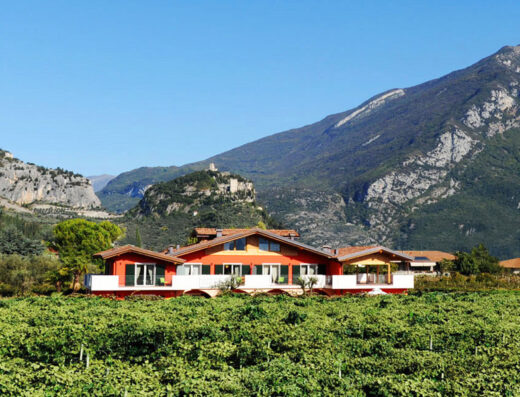 Agriturismo Maso Bergot: Vista panoramica della struttura immersa nei vigneti, con le montagne sullo sfondo, ideale per un soggiorno rilassante.