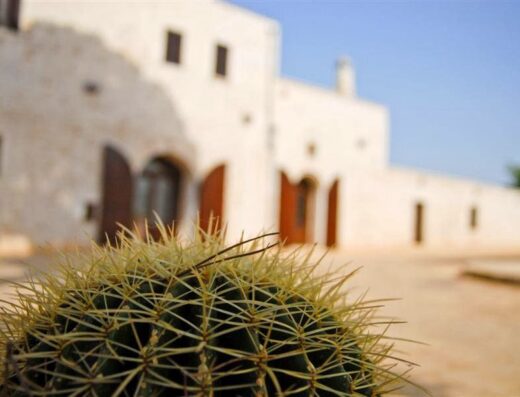 Cactus in primo piano con Masseria Valente sullo sfondo, struttura bianca tipica pugliese con finestre ad arco, turismo in Puglia