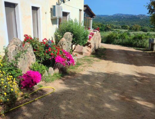 Esterno di un tipico agriturismo nella Murgia, circondato da fiori colorati e vegetazione rigogliosa, un'oasi di tranquillità per viaggiatori in cerca di relax.
