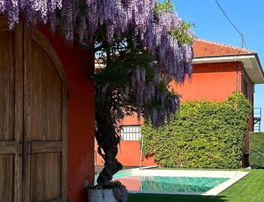 Agriturismo Paitin: Elegant entrance with wooden doors, cascading wisteria, swimming pool, and lush green lawn in Italy.