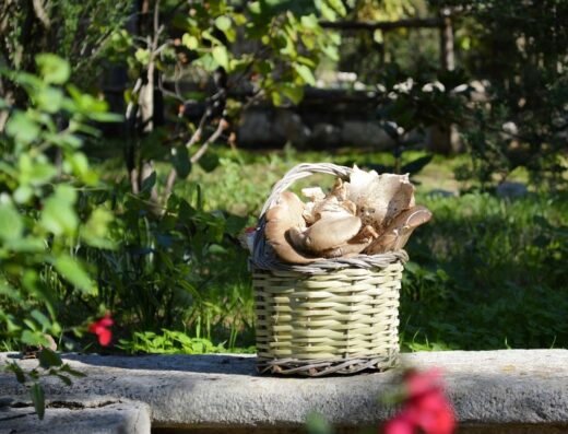 Agriturismo Poggio Ferrata