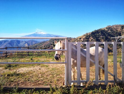 Agriturismo San Cataldo