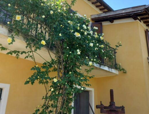 Agriturismo Stovali Da Lustrinu