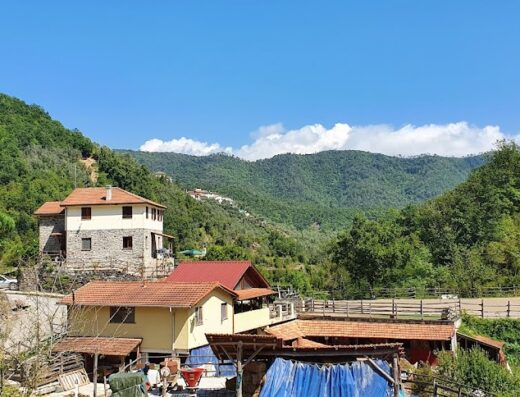 Agriturismo Valle Chiappella: Veduta panoramica della struttura immersa nel verde con edifici rurali, recinti e sullo sfondo le montagne.