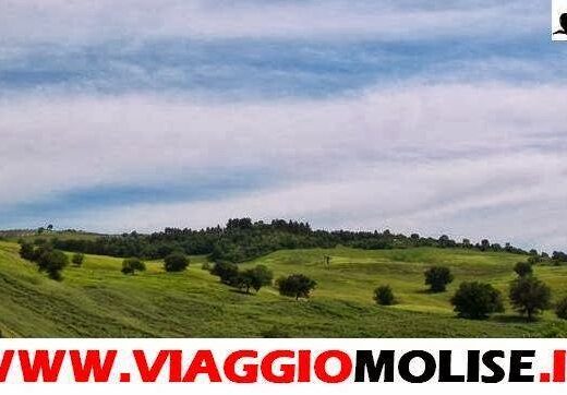 Paesaggio collinare del Molise con cielo nuvoloso, ideale per escursioni e tour guidati con AGTM Associazione Guide Turistiche del Molise.