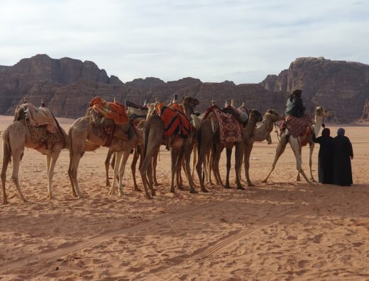 Cammelli con selle colorate nel deserto di Wadi Rum, Giordania, con montagne sullo sfondo e due figure in abiti tradizionali.