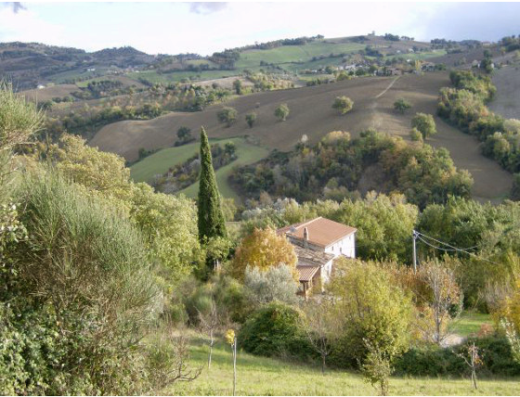 Al Respiro nel Bosco agriturismo biologico: Veduta panoramica sulla campagna marchigiana con casa colonica, alberi e dolci colline.