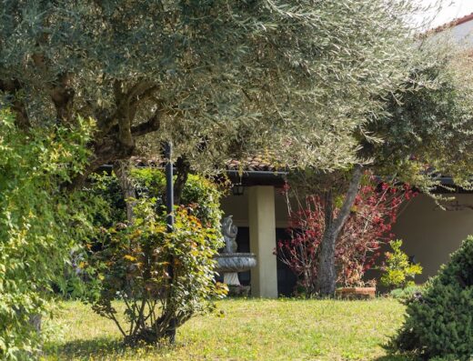 Alba Morus Guest House garden featuring lush greenery, trees, and a charming fountain on a sunny day in Italy.