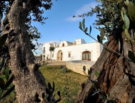 Agriturismo Arco di Sole: A view of the whitewashed farmhouse building with its traditional architecture seen through two ancient olive trees.