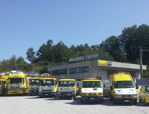 Flotta di furgoni e autoveicoli gialli di Autofficina Propato Francesco, specializzata in servizi di soccorso stradale e riparazione veicoli.