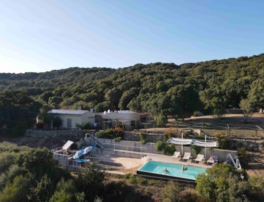 azienda agricola: LI PIREDDI