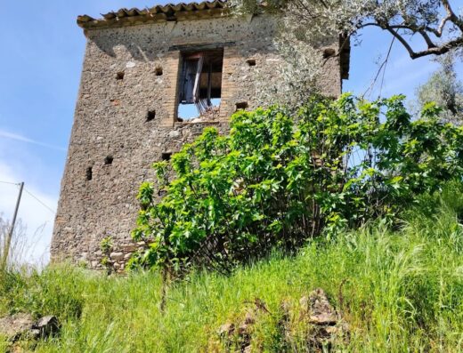 Azienda Agricola Rinascita 3000 sas: Vista esterna di un edificio storico in pietra con vegetazione rigogliosa. Agriturismo Il Castello degli Ulivi.