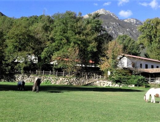 Azienda Agrituristica Valle del Rio di Tuzi Fabio: Pony al pascolo in un prato verde con la struttura agrituristica sullo sfondo.
