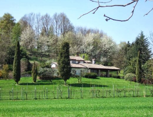 Barone d'Asolo Country House: Veduta esterna della struttura, con vigneto in primo piano e lussureggiante vegetazione collinare sullo sfondo.