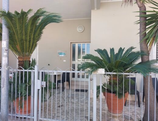 Vista esterna del B&B Alba D'Abruzzo, con piante ornamentali in vaso che decorano l'ingresso e la facciata dell'edificio.