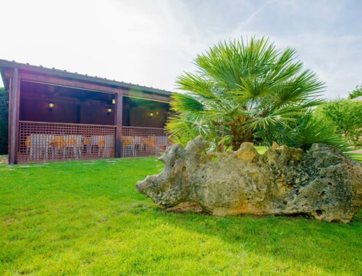 B&B Bonsai Alghero: Vista del giardino curato con prato verde, una roccia ornamentale, una palma nana e una struttura in legno con tavoli e sedie.