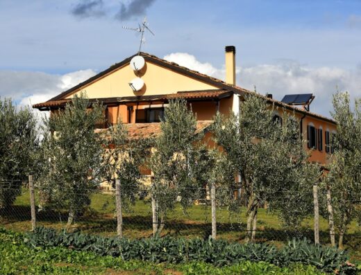 Bio Agriturismo Sant'Elia: Veduta esterna della struttura con ulivi, recinzione, pannelli solari e cielo nuvoloso. Ideale per vacanze rurali e soggiorni eco-sostenibili.