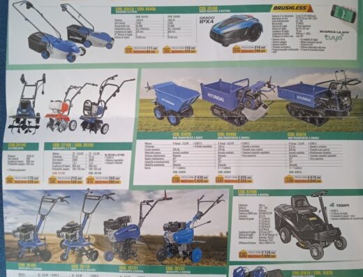 Campi Motors Di Cambi Fabio