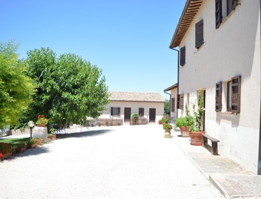 Cardinal Girolamo Moncelli Sas