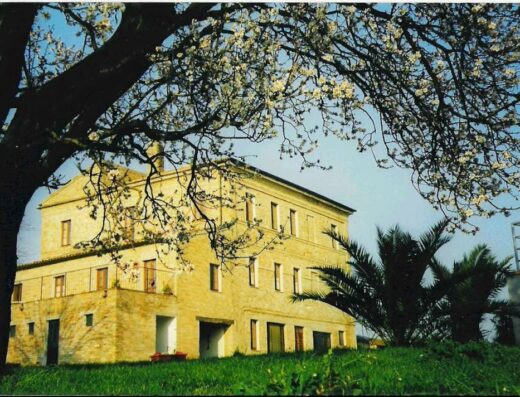 Casa Vecchia: Veduta esterna della casa colonica ristrutturata con albero fiorito in primo piano e prato verde, tipica architettura rurale.