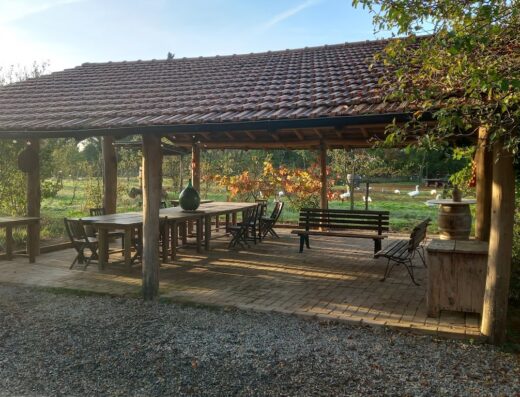 Area esterna coperta alla Cascina degli Ulivi con tavolo in legno, panchine e oche che pascolano nel prato sullo sfondo.