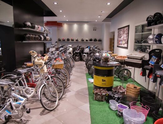 Centro Vendita Molinari Srl