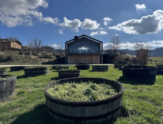 Corte d'Aibo Winery & Bio Agriturismo landscape featuring wooden barrel planters on green grass, with a modern glass and wood building in the background under a partly cloudy sky.