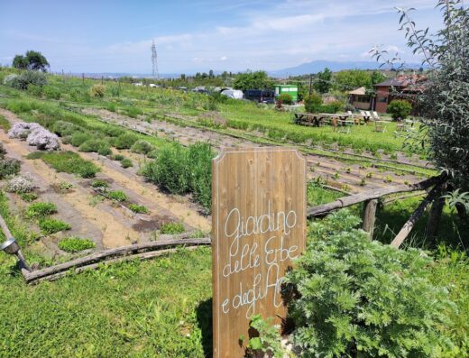 Paesaggio del Country House Erba Regina con cartello 'Giardino delle Erbe e degli Artisti', filari di erbe aromatiche e vista panoramica sulle colline.