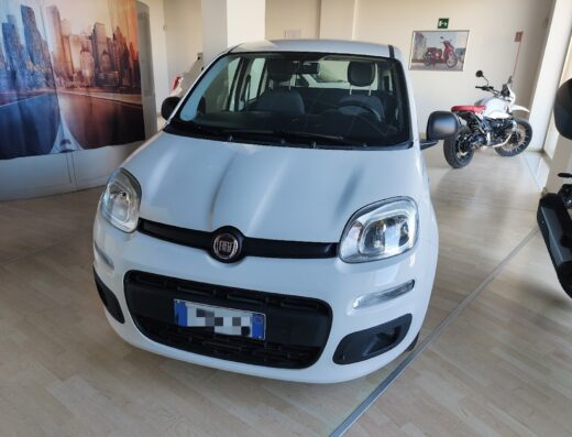 Fiat Panda bianca presso Di Carlo Auto e Moto, con motocicletta visibile sullo sfondo. Vetrina di concessionaria con auto e moto.