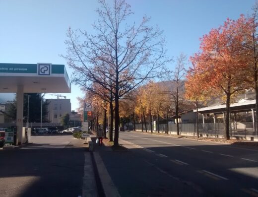 Strada alberata con distributore di benzina in Italia, nei pressi di F.Lli Romeri Snc Di Angelo E Michele, autunno, cielo azzurro.